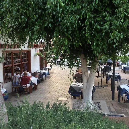 Flor De Pascua Acantilado de los Gigantes